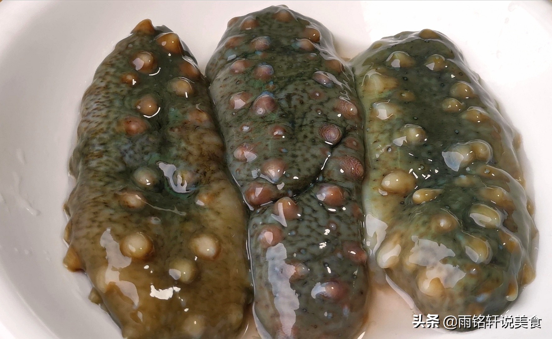 如何做海参既有营养又好吃,海参怎么弄好吃又营养教程