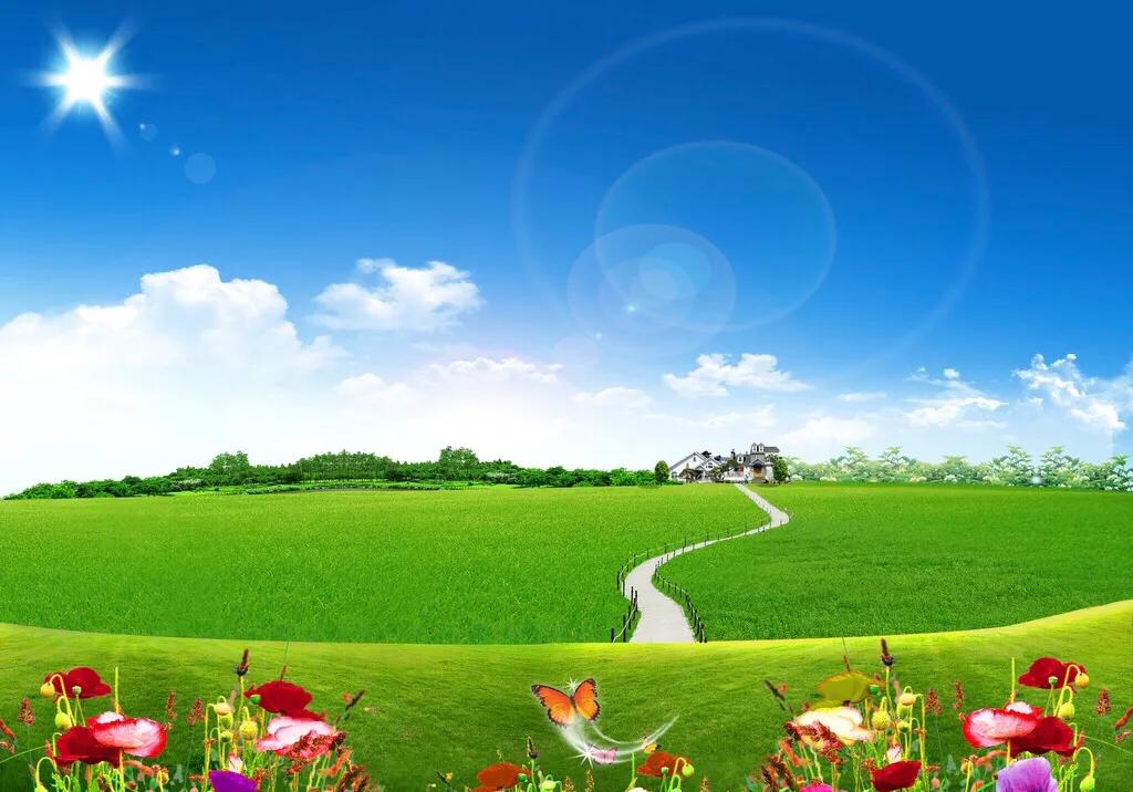 澳洲保肝药swisse,swisse护肝药效果