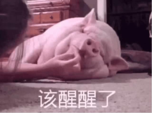 在淘宝搜了下“打小孩”，我怂了