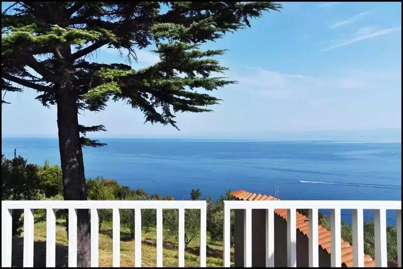 鎴戠殑鏃呮父鎽勫奖缇庡浗娓歌,鎽勫奖浣滃搧鎴戠殑鏃呰