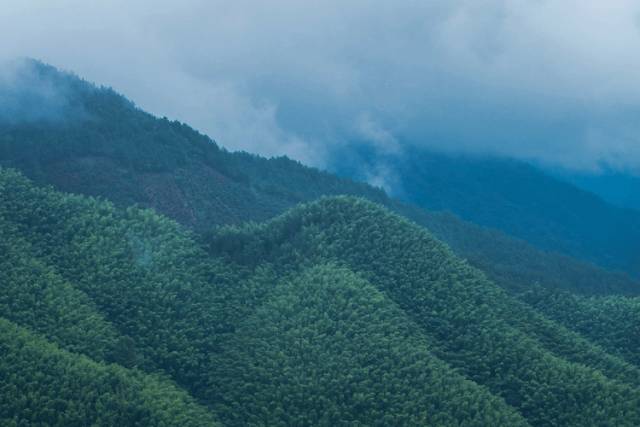 修身齐家治国平天下对联,10副禅意对联
