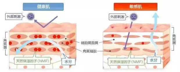 去红血丝的有效方法,去红血丝最好的方法最简单有效的