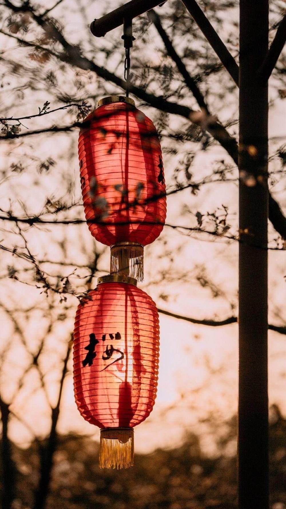 唐朝安史之乱前的征兆,唐玄宗安史之乱最后一战