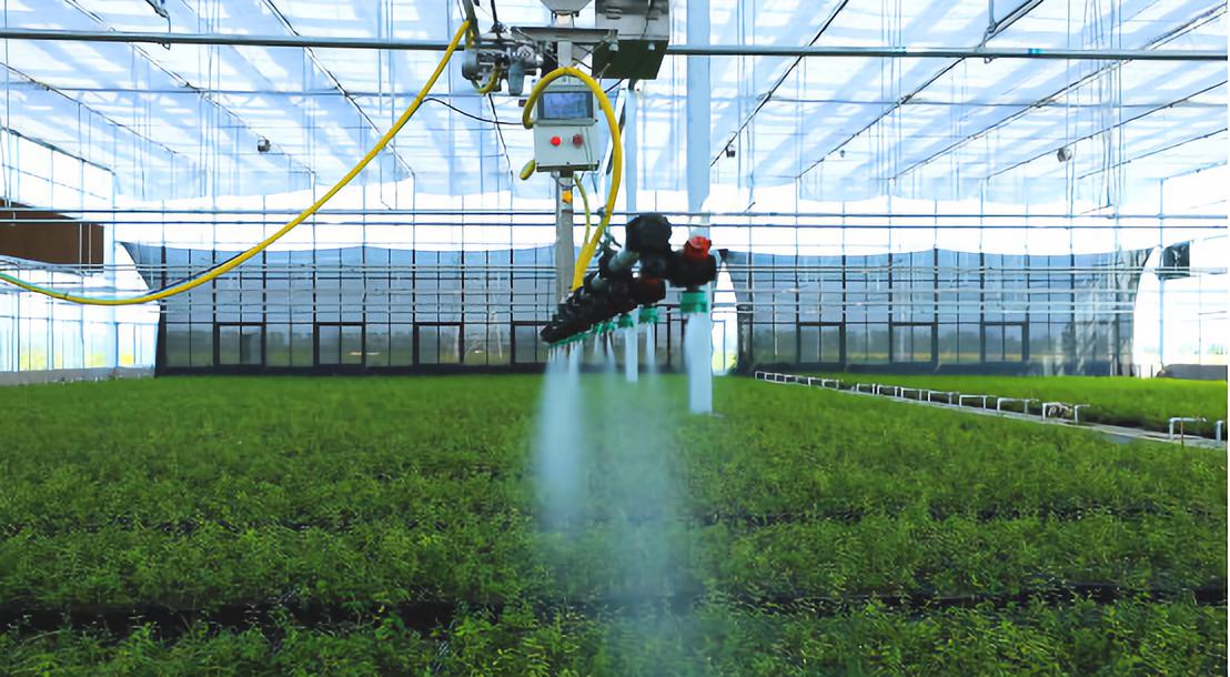 软籽石榴怎样找销路,农村种软籽石榴前景如何