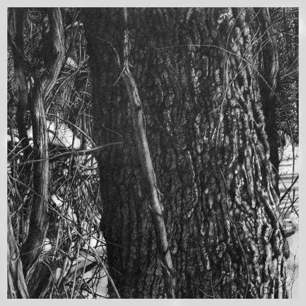 素描画画教程7-12岁素描风景画,设计素描和超写实素描