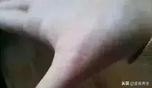 手上这块肉能看出你的身体好坏,手掌根部有肉的人是不是头脑笨