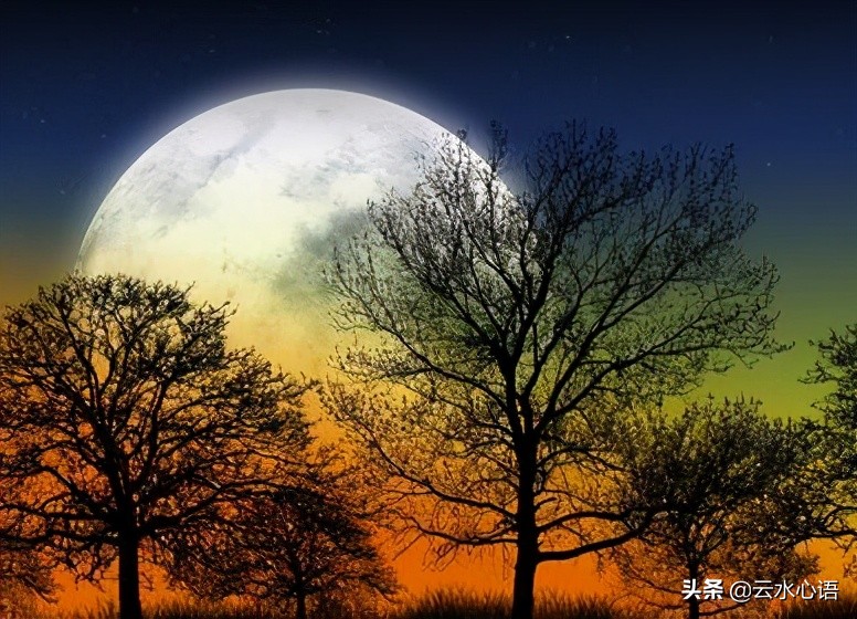 白居易经典七律古诗十首,白居易10首经典诗词七言绝句