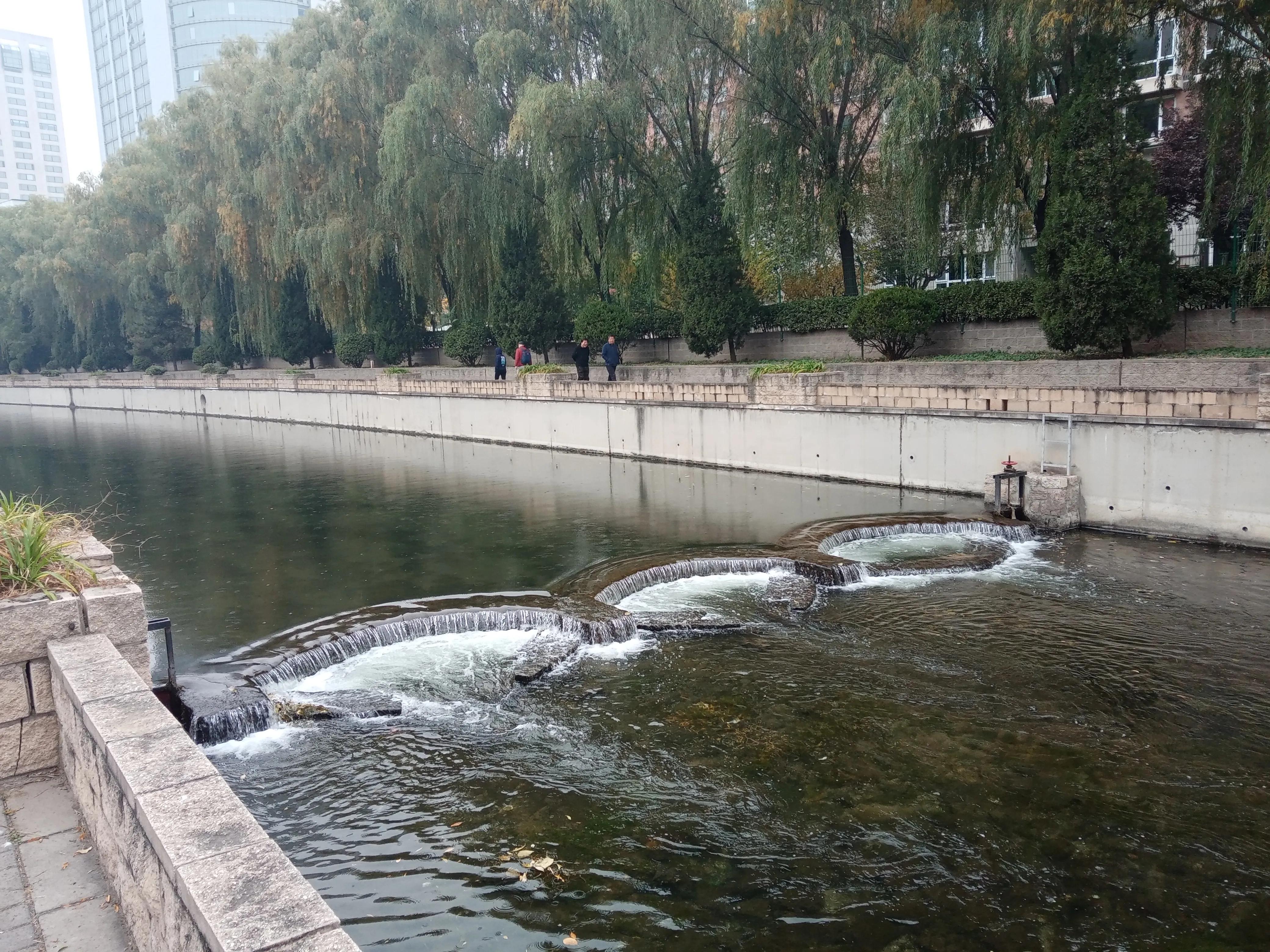 自己养的金鱼捞出来放到河里,为什么钓回来的金鱼自来水养不活