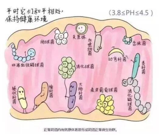 反复霉菌性阴道炎总不好，你会如何应对？来看医生的现身方法吧