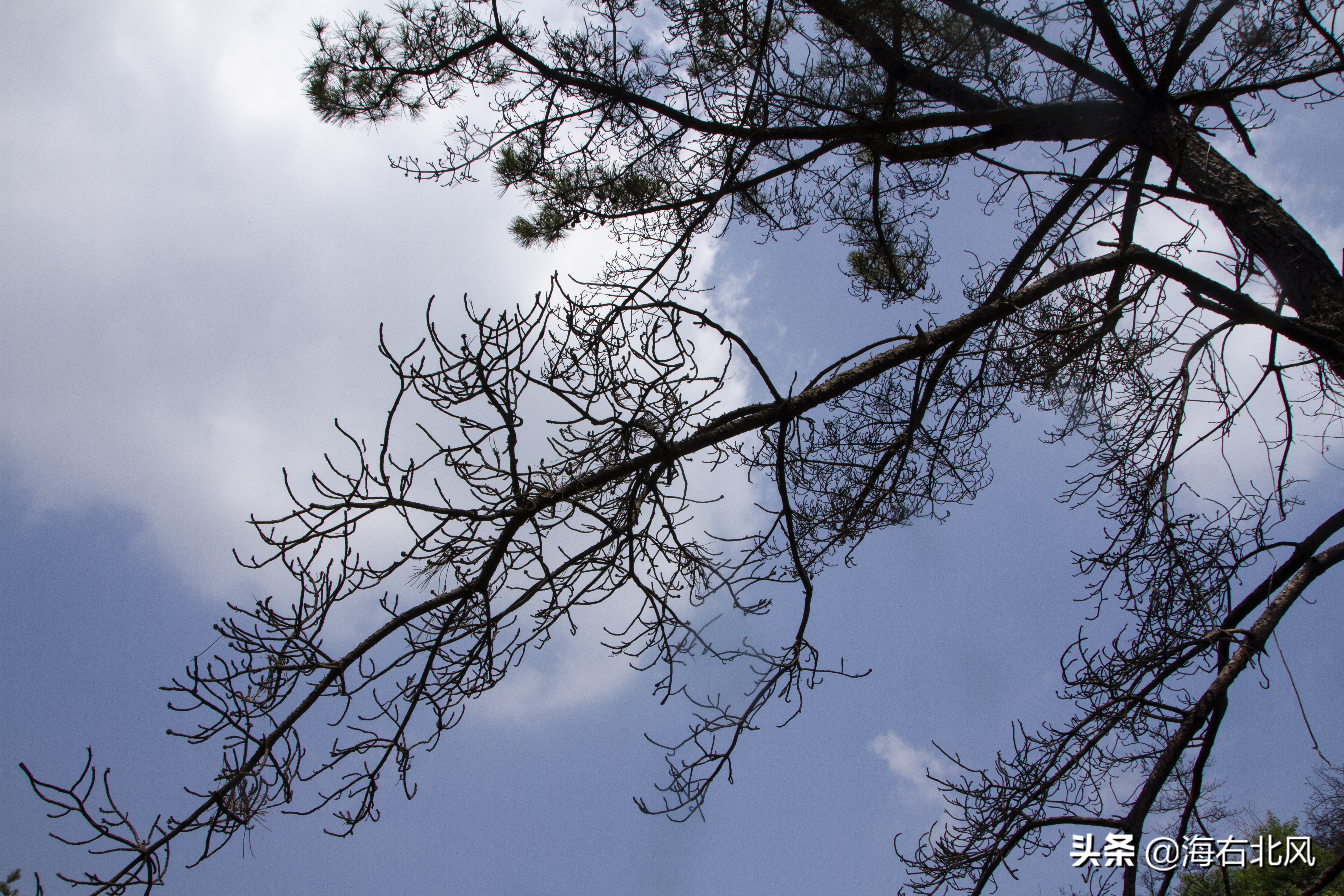 藕池镇有玩游戏的吗,藕塘周边一日游推荐