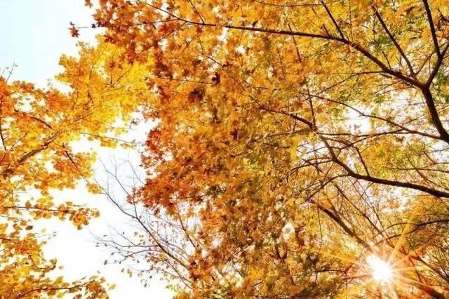 大连哪里的秋色最美呢,大连赏秋景的地方