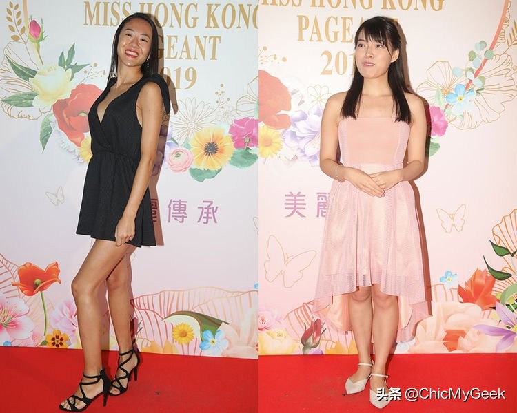 2019港姐十大选手,2019港姐前15入围