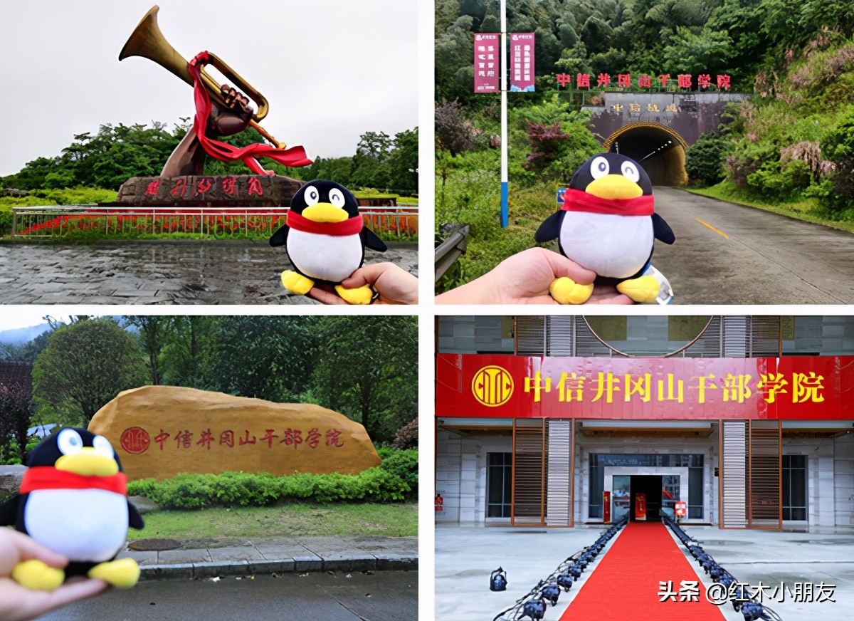 中信红木最新排名,中信红木官网