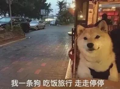 模拟隔壁老王游戏,隔壁老王的游戏叫什么