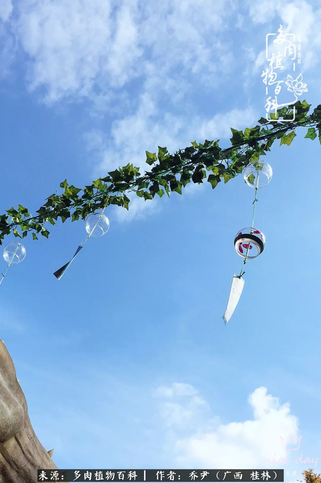 听到秋天的声音,听到了秋天的声音