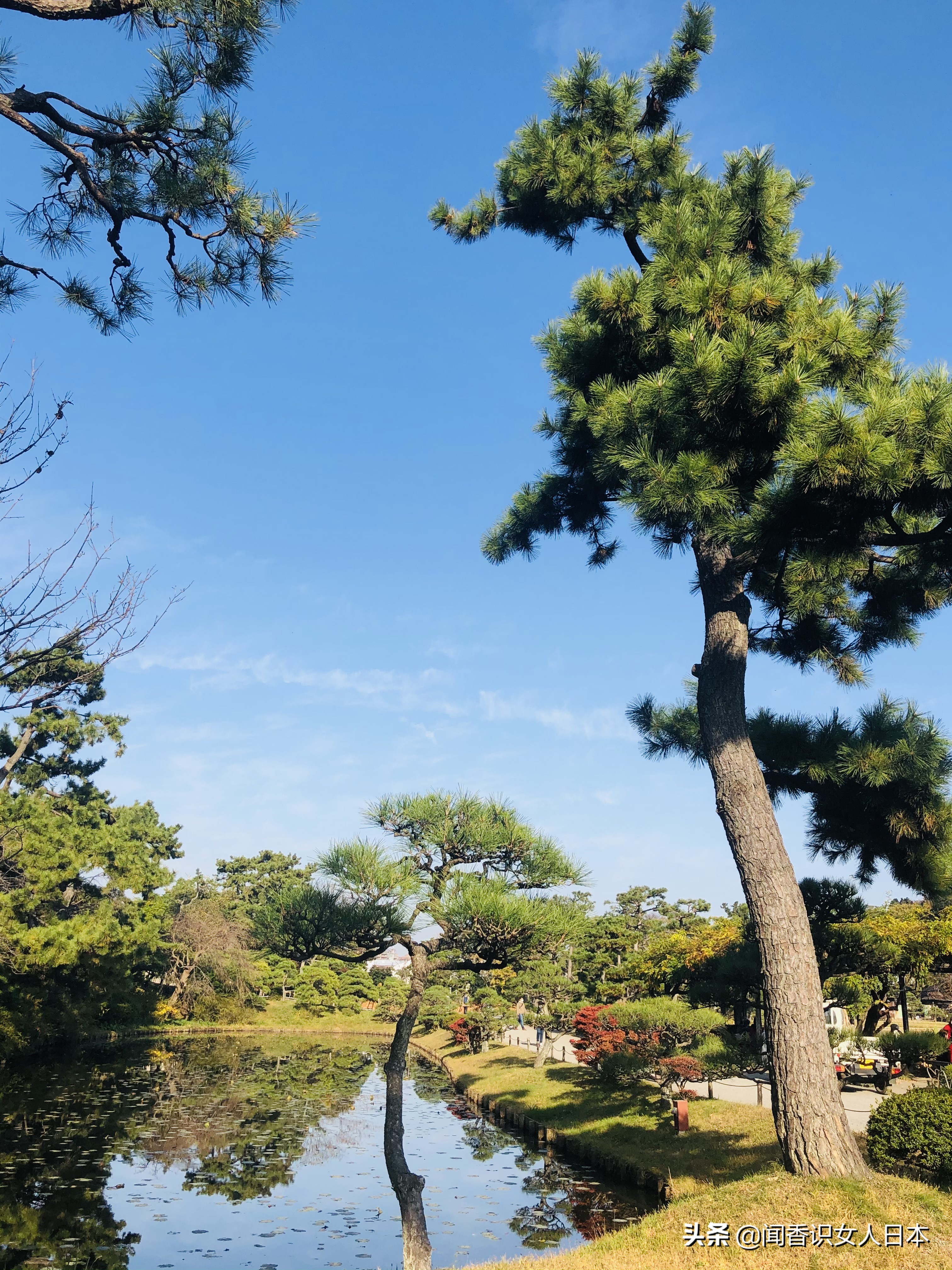 横滨三溪园,横滨三溪园介绍