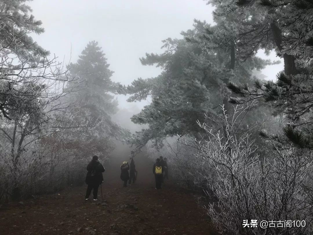 绍兴诗意民宿酒店式公寓,绍兴诗意