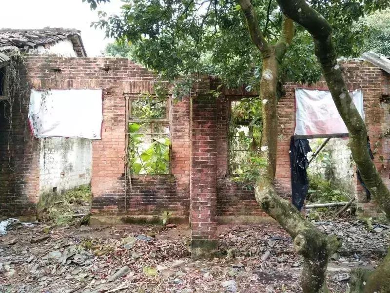 放弃世界顶尖银行工作,他回村当木匠,在废墟上盖出了爆美小院!