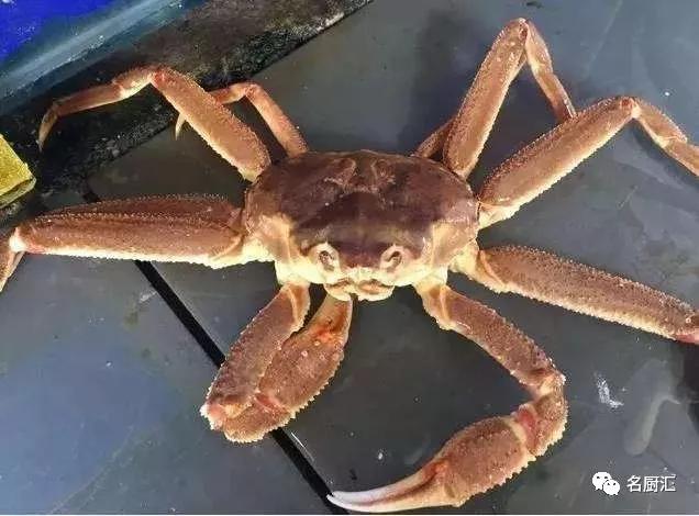 世界顶级十大海鲜,十大顶级海鲜价格排行榜