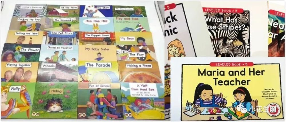 神奇树屋适合多大的孩子读,怎么带孩子读神奇树屋