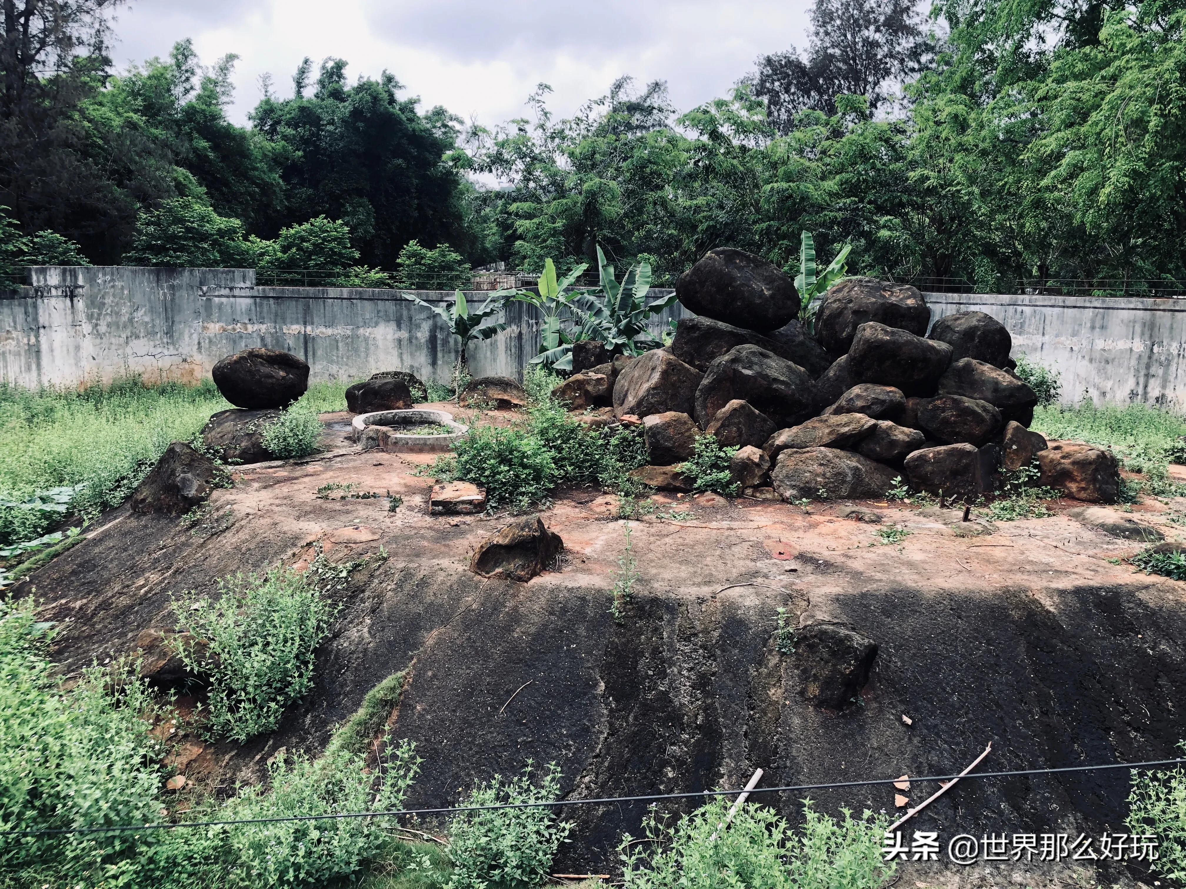 海南金牛岭动物园视频,海口金牛岭公园现在还有动物园吗