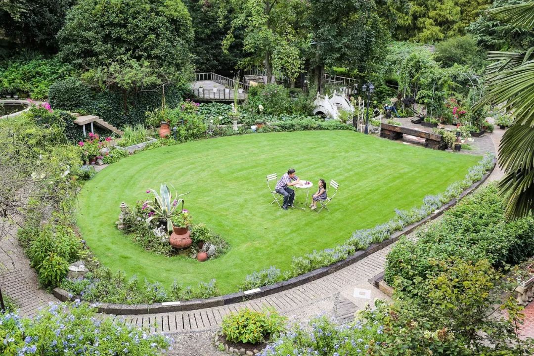 一个安徽爷爷，花1万块种出5000㎡私家花园，被评为中国最美