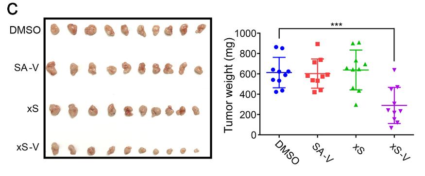 清华大学研制的纳米疫苗,清华大学抗癌新药