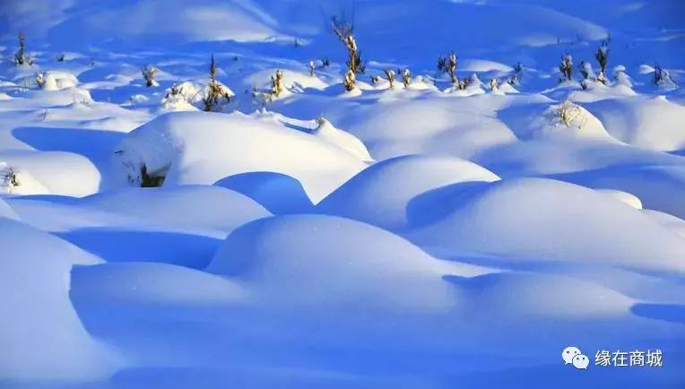 「品读」我的前男网友——以后真的不单独见面吗?/江河之王