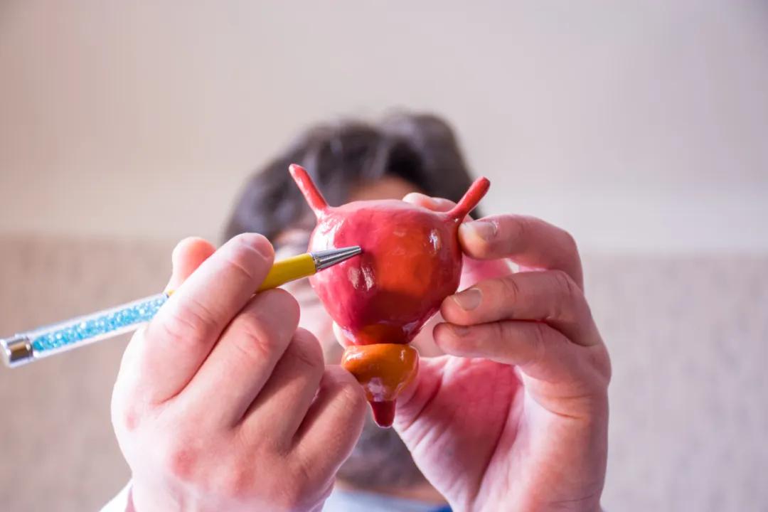 女性可能会遇到泌尿系统的问题,泌尿疾病应该怎么治疗女性