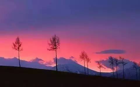 人要学会宽恕释怀,真正的释怀是原谅自己宽恕别人