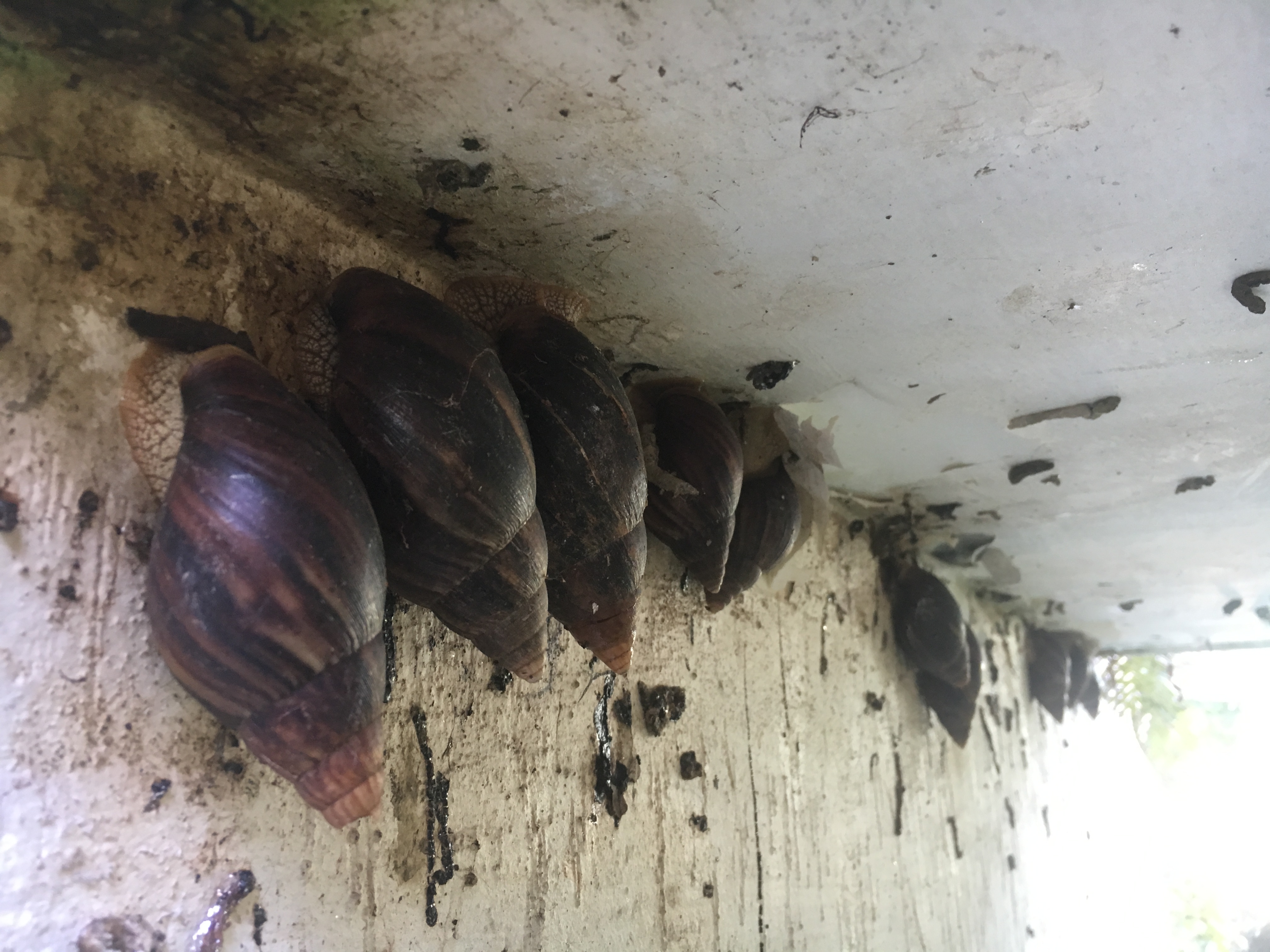 一日之计在于晨完整的古诗下一句,一日之计在于晨完整的古诗视频