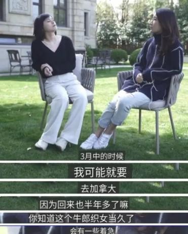 陈赫评价许婧张子萱,许婧和张子萱陈赫