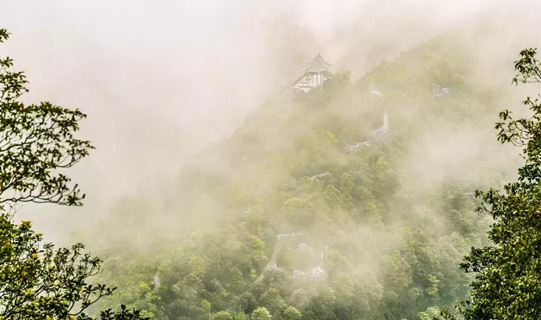 隐藏在梧桐山里的世外桃源,深山独门独户世外桃源