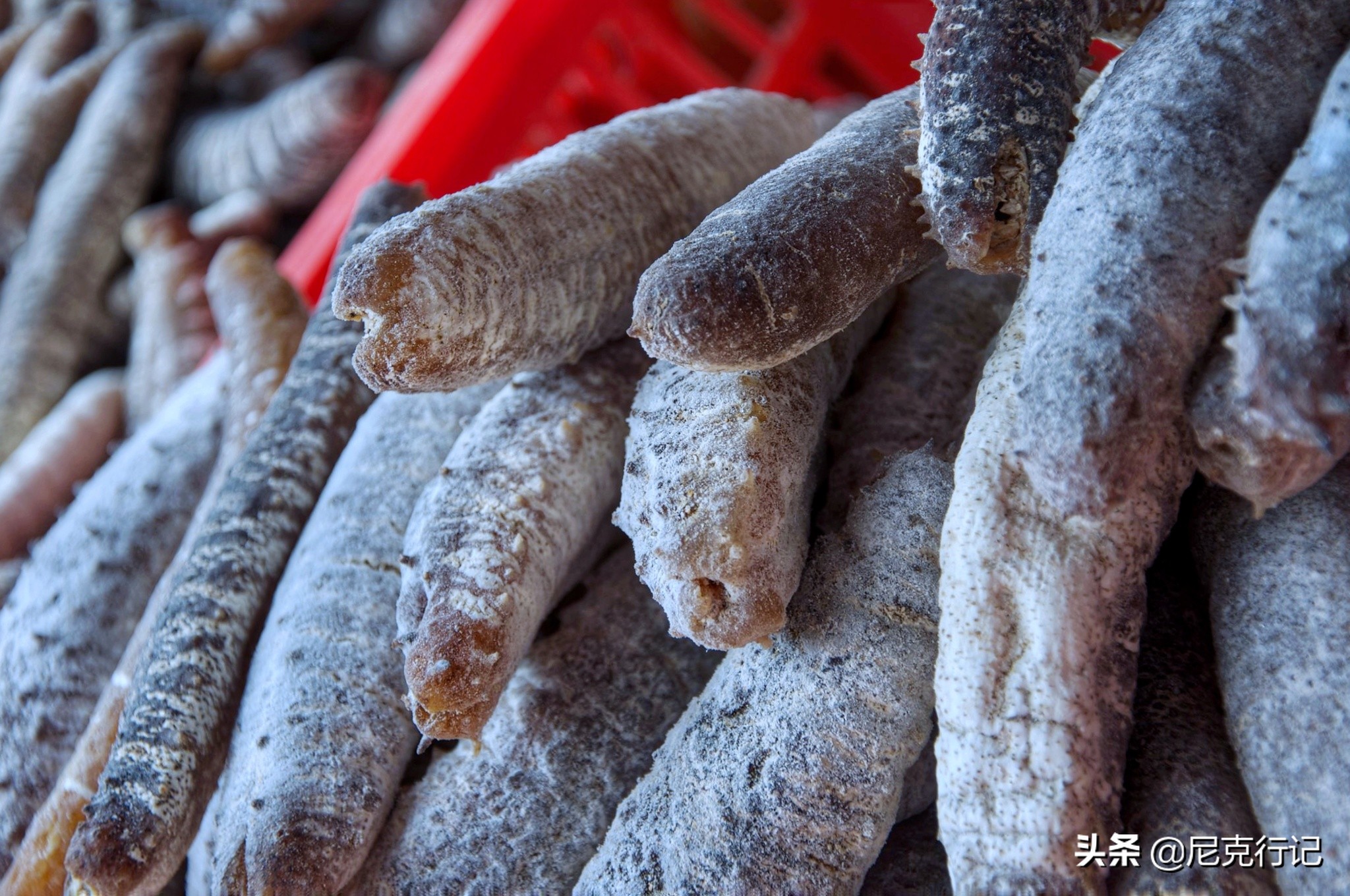 龙口桑岛位置,龙口最大的火山岛