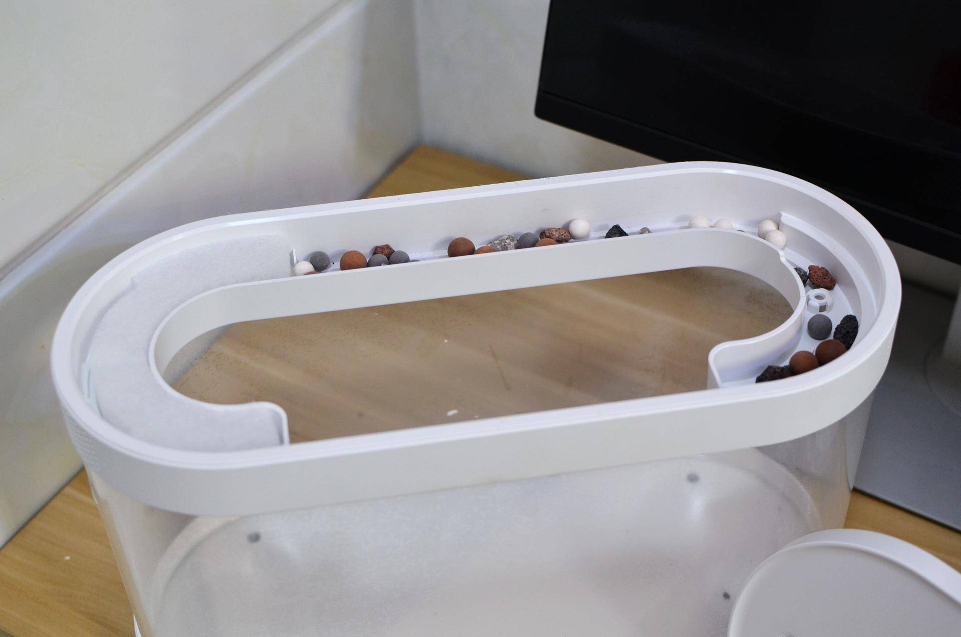 懒人鱼缸养鱼,懒人能养鱼吗