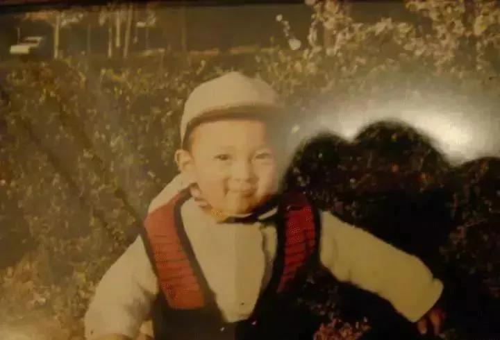 聚焦王思聪,再见了王思聪