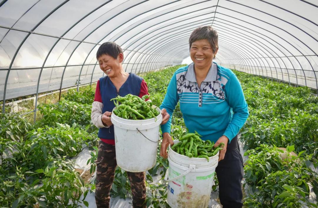 书写温暖人心的民生答卷,病有所医一份温暖的民生答卷视频