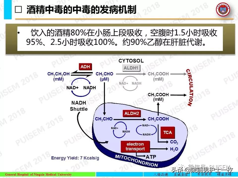 关于酒精中毒，你了解多少？