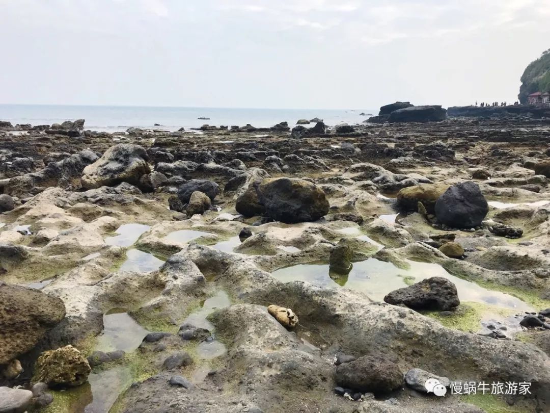 这个南国海岛高铁直达，海鲜超级便宜大人不累、孩子很开心