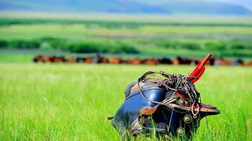 突然想去新疆旅游,突然好想去呼伦贝尔