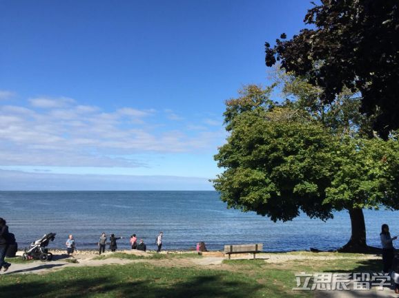 加拿大海关入境携带物品规定,加拿大海关禁止带入的物品有什么