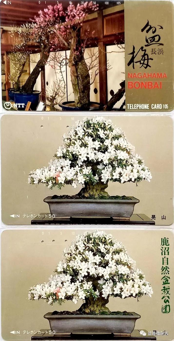 鐩嗘櫙鑱旂郴鐢佃瘽鍙风爜,涓鐩嗘櫙鑱旂郴鏂瑰紡