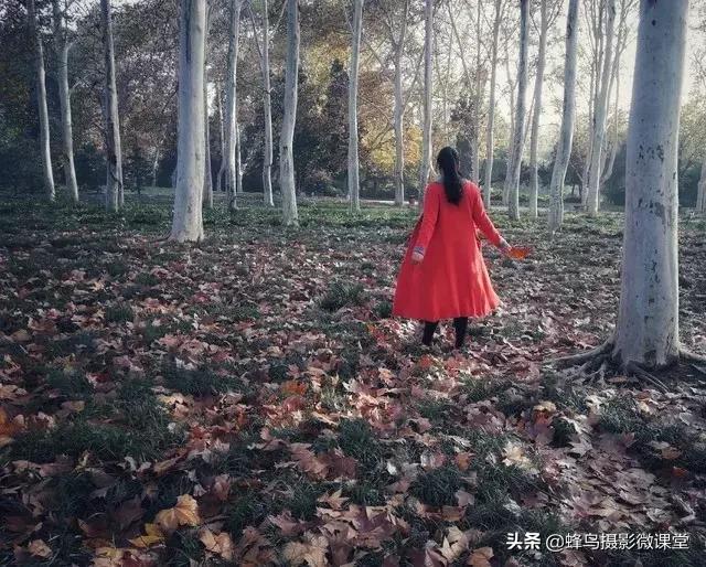 小姐姐颜值打分视频,小姐姐颜值点评