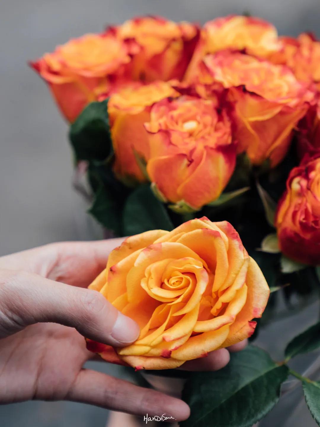 武汉地铁循礼门鲜花花市,武汉循礼门花市蓝色玫瑰