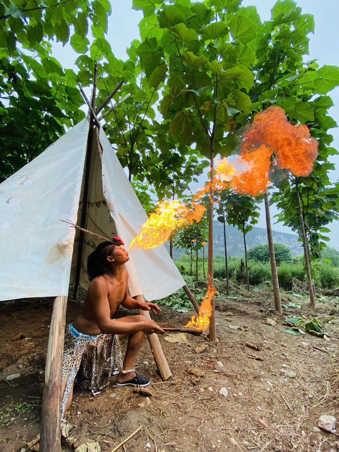 井陉豌豆农庄视频,河北省井陉县豌豆农庄