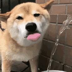 绍兴最新房价排行榜,2023年绍兴楼市排行榜