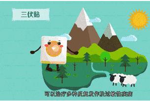 冬病夏治三伏贴预约正当时,冬病夏治敷贴正当时