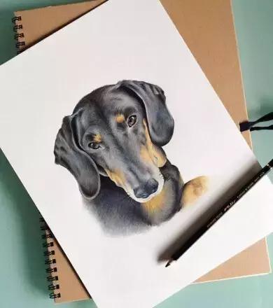 <html>
<head><title>502BadGateway</title></head>
<body>
<center><h1>502BadGateway</h1></center>
<hr><center>nginx</center>
</body>
</html>
<!--apaddingtodisableMSIEandChromefriendlyerrorpage-->
<!--apaddingtodisableMSIEandChromefriendlyerrorpage-->
<!--apaddingtodisableMSIEandChromefriendlyerrorpage-->
<!--apaddingtodisableMSIEandChromefriendlyerrorpage-->
<!--apaddingtodisableMSIEandChromefriendlyerrorpage-->
<!--apaddingtodisableMSIEandChromefriendlyerrorpage-->
