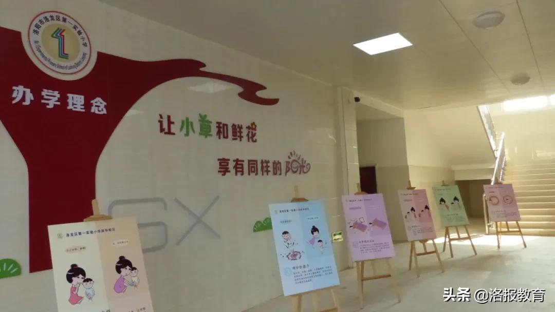 洛阳洛龙区有哪些小学,2019年洛龙区新建小学
