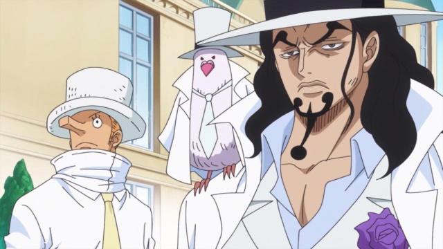 海贼王为什么有人不吃果实,海贼王天龙人不吃果实